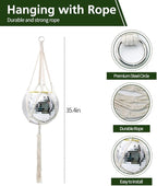 Disco Ball Planter, Disco Ball Plant Hanger - Image 4