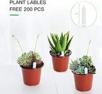 JERIA 200-Pack 4 Inch Plastic Nursery Pots Come - Image 3