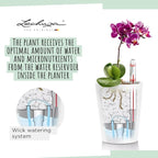 Lechuza MINI-DELTINI Shiny Taupe High Gloss, Self-Watering Small Indoor Planter - Image 2