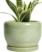 SQOWL Ceramic Pot for Plants by SQOWL