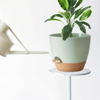 Indoor Pot For Plants 3 Pack 12/10/9 Inch Self Watering Pot For Lazy People - Image 6
