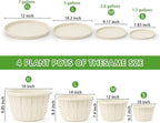 Quarut 12 Inch Large Planter Pot - Image 3