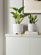 LE TAUCI Ceramic Pots for Plants, 8+6.7+5.5 Inch Plant Pots Indoor, Flower Pot - Image 2