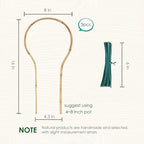 Plant Trellis Indoor 16in, Loop-Shaped Bamboo Trellis - Image 2