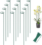 Joyhalo 12 Pack Plant Support Stakes 24 Inch, Plant Stakes, Flower Stakes by Joyhalo