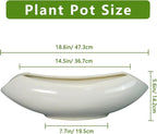 Bonsai Pots 18 Inch - Image 3