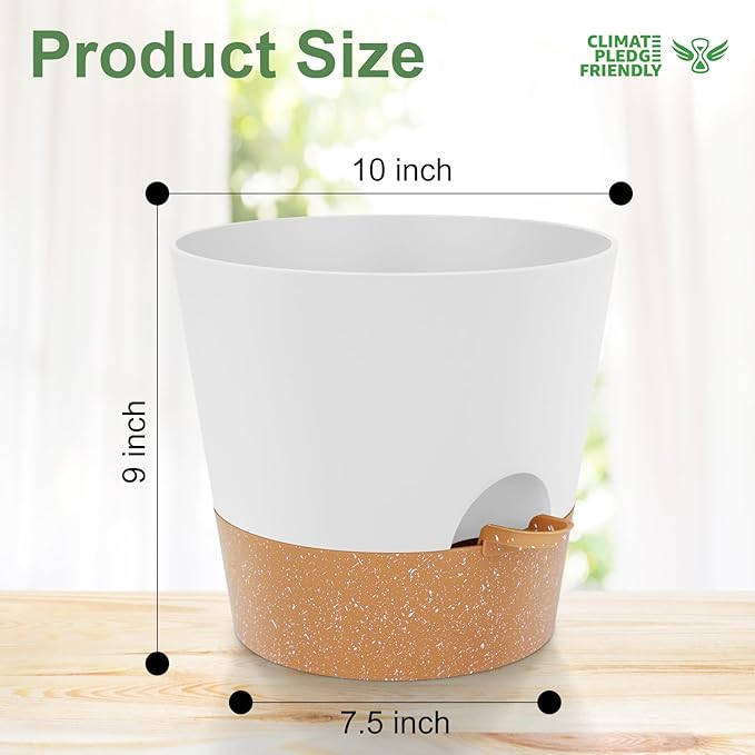 10 inch Plant Pots, Self-Watering Planters - Image 4