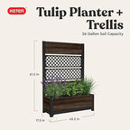 Keter Outdoor Planter Box with Privacy Screen and Trellis – 26 Gallon Raised - Image 9