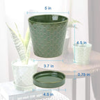 BUYMAX Plant Pots Indoor –5 inch Ceramic Flower Pot - Image 6