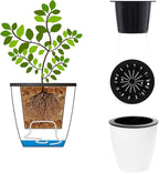 5.2“ Self Watering Planter White Flower Pot, Mini Plant Pot, African Violets - Image 6