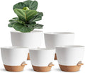 Indoor Plant Pots for Lazy People, African Violets, Snake Plants, Flowers and by SESUN-E
