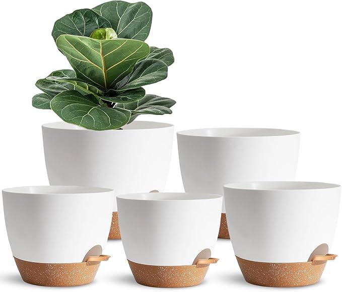 Indoor Plant Pots for Lazy People, African Violets, Snake Plants, Flowers and by SESUN-E