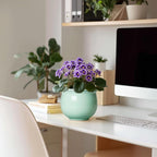 6 Inch African Violet Pots, Ceramic Self Watering Planter - Image 3