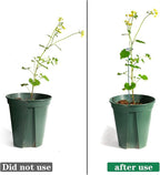 12 Pack Plant Stakes, Plant Support Stakes - Image 4