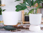 12+12Inch 2Pack Large Flower Pots - Image 6