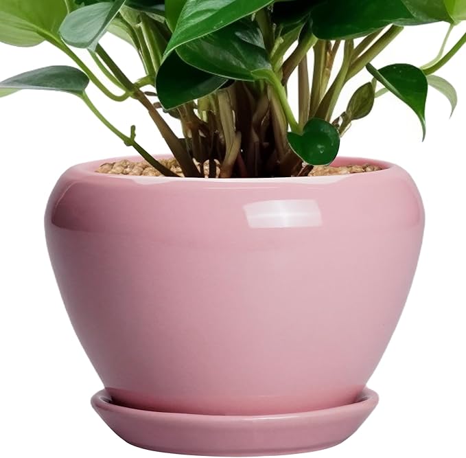6 Inch Plant Pot by Ceramicfor