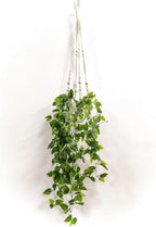 Comtelek 2 Packs Fake Hanging Plant by Comtelek