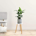 Uneedem Wood Mid Century Plant Stand - Image 7
