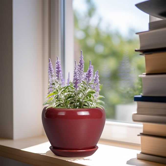 Ceramic Pot for Plants - Image 2