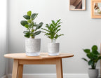 Self Watering Pots for Indoor Plants, 5 & 4 Inch Stylish Flower Pots - Image 6