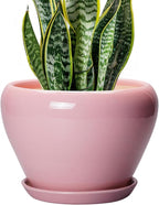 Ceramic Modern Glaze Succulent Planter Pot by Ceramicfor