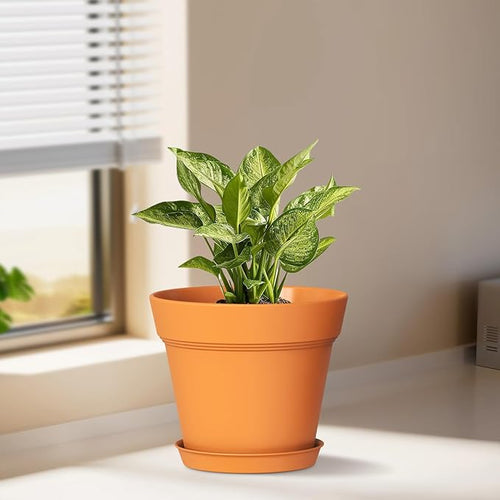 4 Inch Plastic Plant Pots with Drainage Holes and Trays – 8 Pack Small Nursery - Image 2