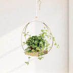 Hanging Planters for Indoor Plants by Adnkwolivt