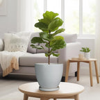 Ceramic Pots for Plants - Image 4