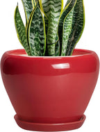 Ceramic Planter for Indoor Plants 8 Inch by Ceramicfor