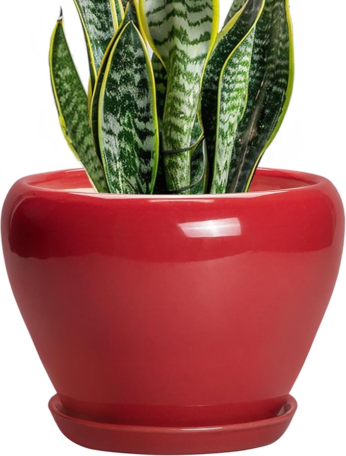 Ceramic Planter for Indoor Plants 8 Inch by Ceramicfor