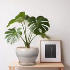 Planter Pot 6 Inch - Image 7