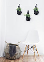3 Packs Hanging Planters for Indoor Plants up to 4 in., Wall Plant Holder | - Image 5