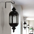 2 Pack 6 Inch Plant Hanger Indoor Outdoor, Hanging Plant Bracket Wall Hooks - Image 3