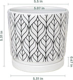 Ton Sin Plant Pots, 5.5 Inch White Pots - Image 2