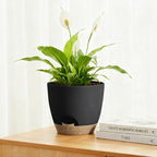Plant Pots 8/7.5/7/6.5/6 Inch Self Watering Pots, 5 Pack Planters - Image 5