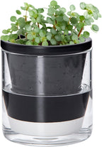 D'vine Dev 4 Inch Design Self Watering Planter by DvineDevPlanterPotsandStand