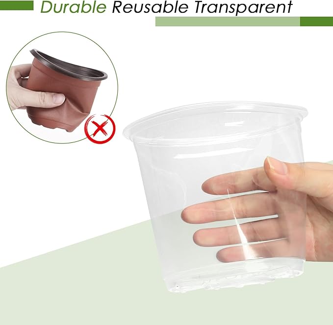 7 Inch Clear Nursery Pots for Plants - Image 5