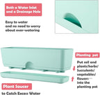 6 Pack Rectangle Planter 16x4.4 Inch Window Boxes Planters Rectangular Large - Image 4