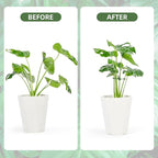 10PCS Iron Monstera Plant Support, Uniquely Designed Indoor Plant Accessories - Image 3