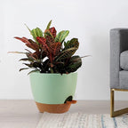 Large Self Watering Pots, 12/10/9 Plastic Planters - Image 7
