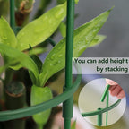 12Packs Plant Support Stake Half Round Plant Support, Stackable 3 Tier Garden - Image 5