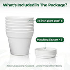 T4U 7.5 Inch Plant Pots 6 Pcs, Flower Pots - Image 6