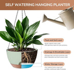 Hanging Planter for Indoor Plants, 10 Inch Self-Watering Hanging Planters - Image 3