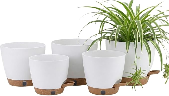 montresor 5-Pack Self-Watering Planters by Montresor