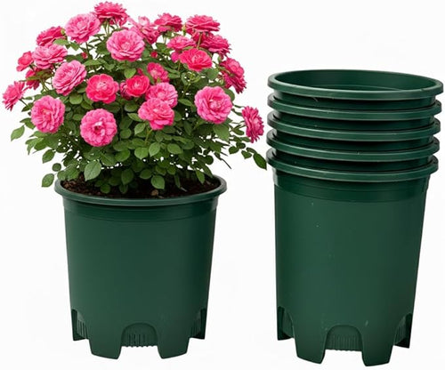 5 Gallon 6-Pack Green Large Plant Pots Nursery Tree Pot Plastic Planters by CottaPlanters
