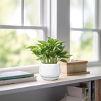G EPGardening Ceramic Plants Pots - Image 6