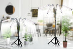 GHodec Grow Light with Stand, 200W 6000K Full Spectrum Gooseneck Floor Plant - Image 2