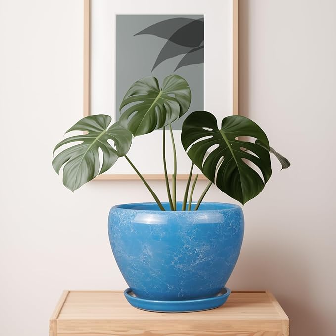 10 Inch Planter Pot - Image 6