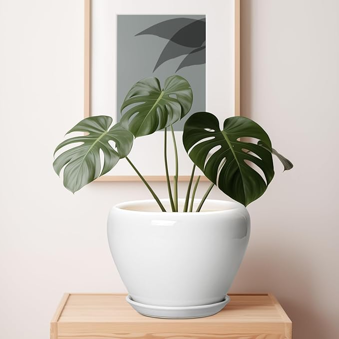 Ceramic Pot for Plants - Image 7