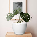 Ceramic Pot for Plants - Image 7